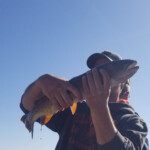 Nice fish Brian. 2019-07-25 On The Lake