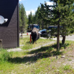 2019-07-28 Late Morning Visitor