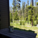 There are two elk out there, but only one is clear enough to see. Really I promise there are elk out there. 2019-07-29 Back _Yard Elk