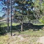 2019-08-04 Grizzly and Wolf Discovery Center