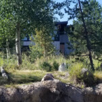 2019-08-04 Grizzly and Wolf Discovery Center