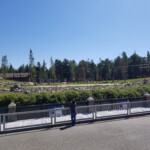 Kids getting ready to hide food for the bears. 2019-08-04 Grizzly and Wolf Discovery Center
