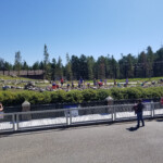 Kids hiding food for the bears. 2019-08-04 Grizzly and Wolf Discovery Center