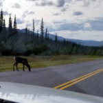 Sorry for the glare. 2019-08-12 Boes RV Sales