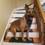 rocket_20191019_140810