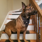 rocket_20191019_140815