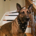rocket_20191019_140817