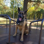 rocket_20191024_123457