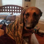 rocket_20191107_083301