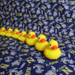 What common phrase is this? Get Your Ducks In A Row