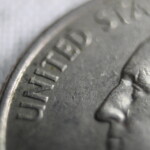 Macro of a Quater