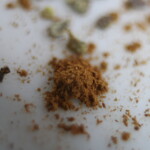 This is mostly cinnamon. Marco Photo of Some Spices