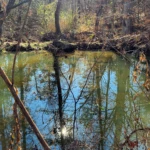 Cedar Run