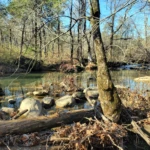 Cedar Run - The Falls
