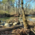 Cedar Run - The Falls Cedar Run - The Falls