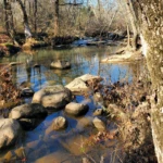 Cedar Run - The Falls