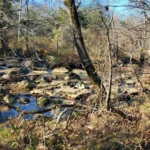 Cedar Run - The Falls