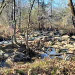 Cedar Run - The Falls