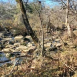 Cedar Run - The Falls