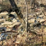 Cedar Run - The Falls - Featured Image