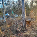 The Rock Campsite