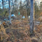 The Rock Campsite