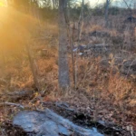 The Rock Campsite
