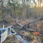 The Rock Campsite