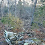 The Rock Campsite