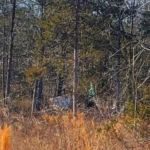 The Rock Campsite