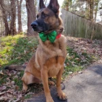 St. Patricks Day RIP Rocket