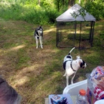 Tyler and Starlene Mothers Day 2023