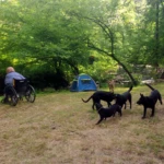Grandma watching the water. Mothers Day 2023